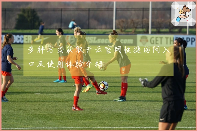 多种方式获取开云官网快捷访问入口及使用体验介绍