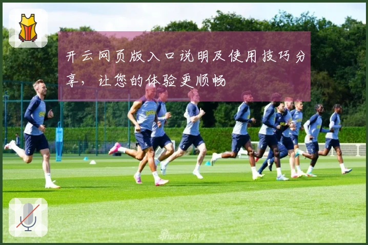 开云网页版入口说明及使用技巧分享，让您的体验更顺畅